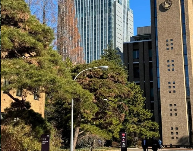 东北大学